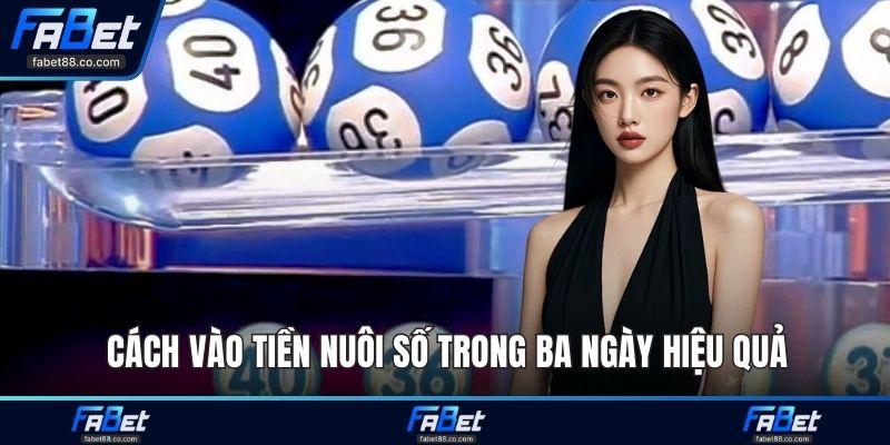 Cách vào tiền nuôi số trong ba ngày hiệu quả