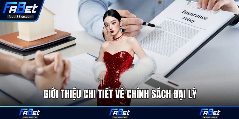 Giới thiệu chi tiết về chính sách đại lý