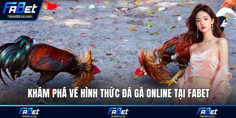 Khám phá về hình thức đá gà Online tại FABET