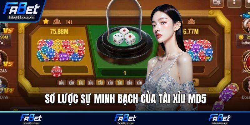 Sơ lược sự minh bạch của Tài Xỉu MD5