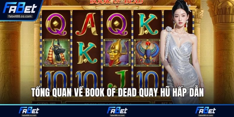 Tổng quan về Book of Dead quay hũ hấp dẫn