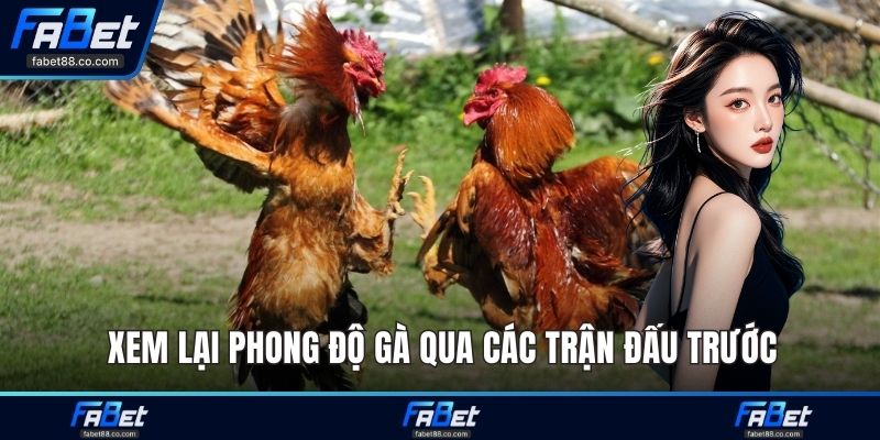 Xem lại phong độ gà qua các trận đấu trước
